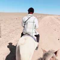 Grassland Horse-Riding in Inner Mongolia