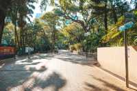 尋找鬧市中的寧靜 - 九龍公園