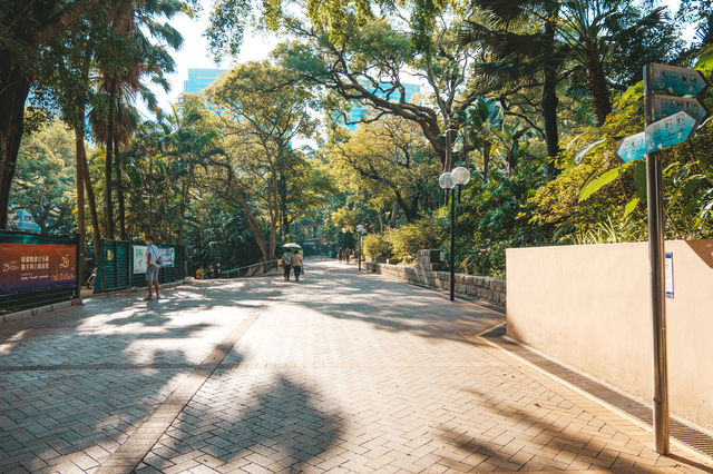 尋找鬧市中的寧靜 - 九龍公園