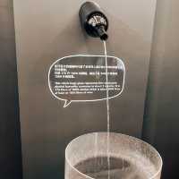 Museum of Hangovers