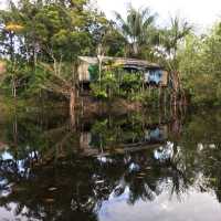 living in the world’s largest rainforest 