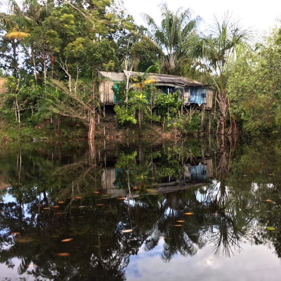 living in the world’s largest rainforest 