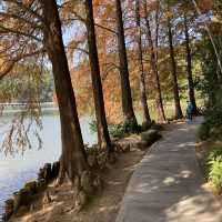 Fairy Lake Botanical Garden