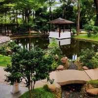 A natural oasis in the heart of Shenzhen! 