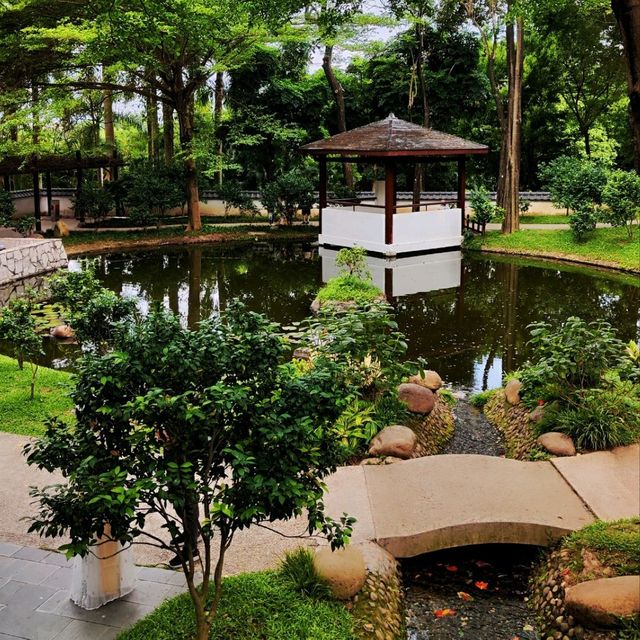 A natural oasis in the heart of Shenzhen! 