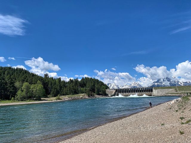 Rush out of Yellowstone.