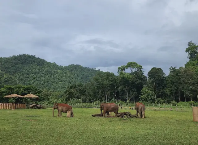 Elephant Nature Park Village