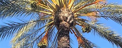 Art Exhibition with the City of West Hollywood, AzziArt Gallery… | AzziArt Gallery LA