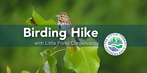 Birding Hike with Little Forks Conservancy | Averill Rollaway Park
