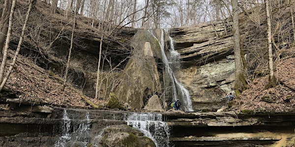 Golden Hour Hike to Elk Lick Falls | Floracliff Nature Sanctuary