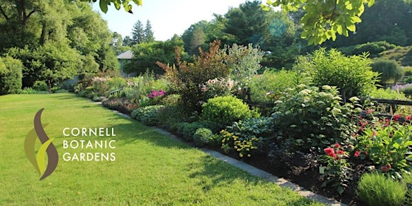 Secret Lives of Plants | Nevin Welcome Center