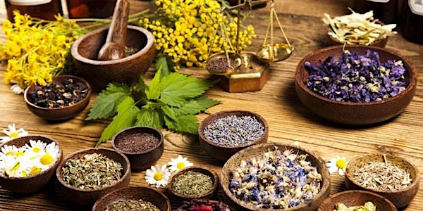 Setting up a Holistic Business - Worksop Library - Adult Learning | Worksop Library