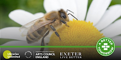 Futureproof Eco-Takeover | Paignton Library and Information Centre