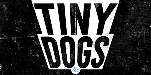 TINY DOGS 2026 | The Rescue Hotel charity fundraiser | Tiny Rebel Cardiff