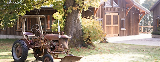 Harvest Market at Bilston Creek Farm | Bilston Creek Farm