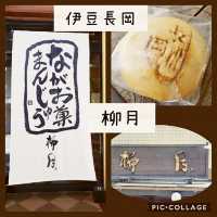 【伊豆長岡】柳月