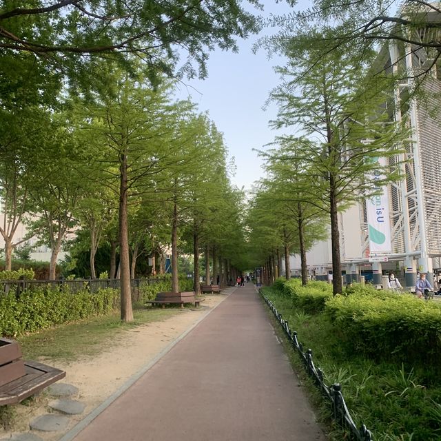 대전 산책하기 딱 좋은 한밭수목원 