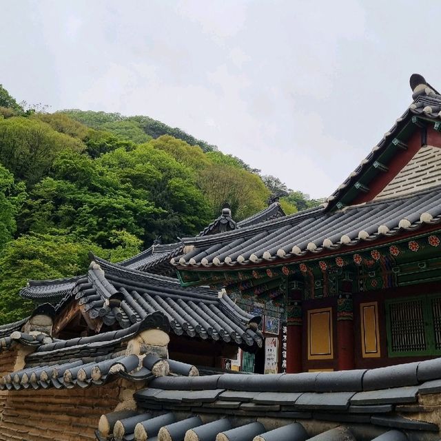 한국적인 아름다움 : 백양사