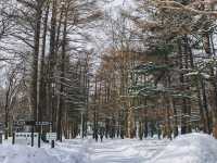 ศาลเจ้าฮอกไกโด (Hokkaido Shrine) ญี่ปุ่น 🇯🇵