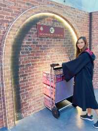 Harry Potter 的聖誕魔法世界 @ Megabox