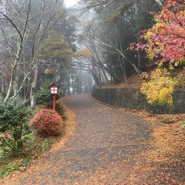 Spring time in Japan