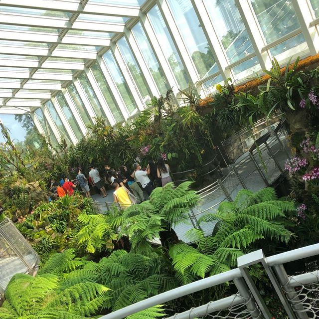 Splendid Visit to National Orchid Garden 💐👍