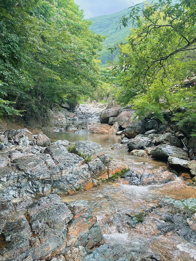 프라이빗한 계곡 캠핑장 울산 "아이온캠핑장"