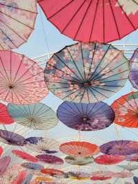 偽日本一日遊。信芯園農莊 Shun Sum Yuen Farm