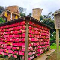 #Enoshima Island