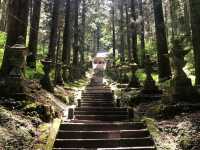 【熊本県】一度は見たい絶景神社でパワーチャージ⛩