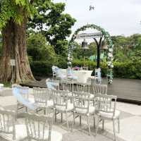 Hilltop Breakfast at Arbora Café 