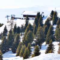 登上海拔2050米欣賞阿爾卑斯山雪景