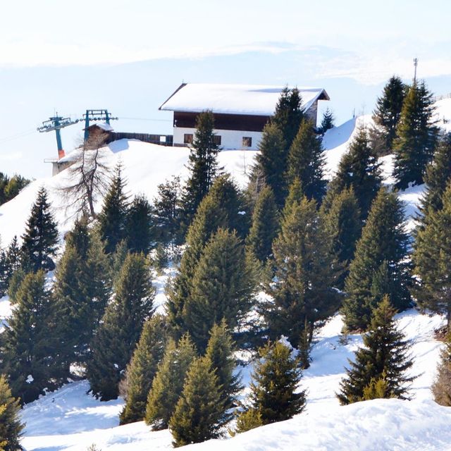 登上海拔2050米欣賞阿爾卑斯山雪景