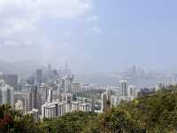 港島劏青蛙