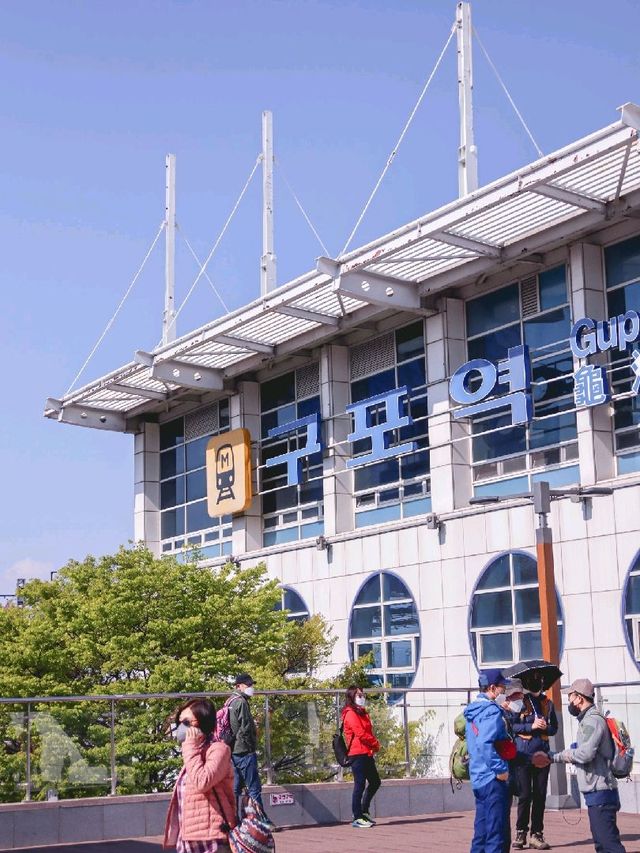 벚꽃 구경하기 좋은 부산 구포역