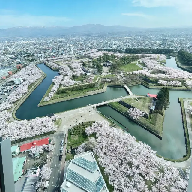 【北海道:函館】日本100名城の星形要塞で絶景を楽しむ