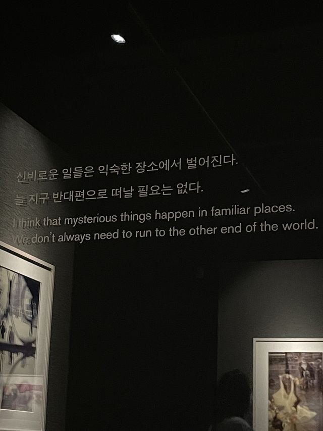 피크닉 전시회 - 사울 레이터 : 창문을 통해 어렴풋이