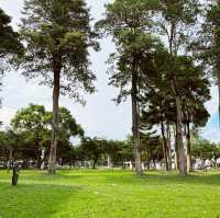 尋找可愛的小黑熊｜璞石閣公園 ｜享受寧靜小鎮風情 