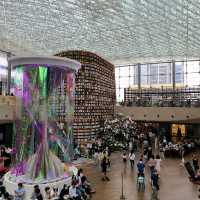 코엑스 별마당도서관에서 독서 데이트하기