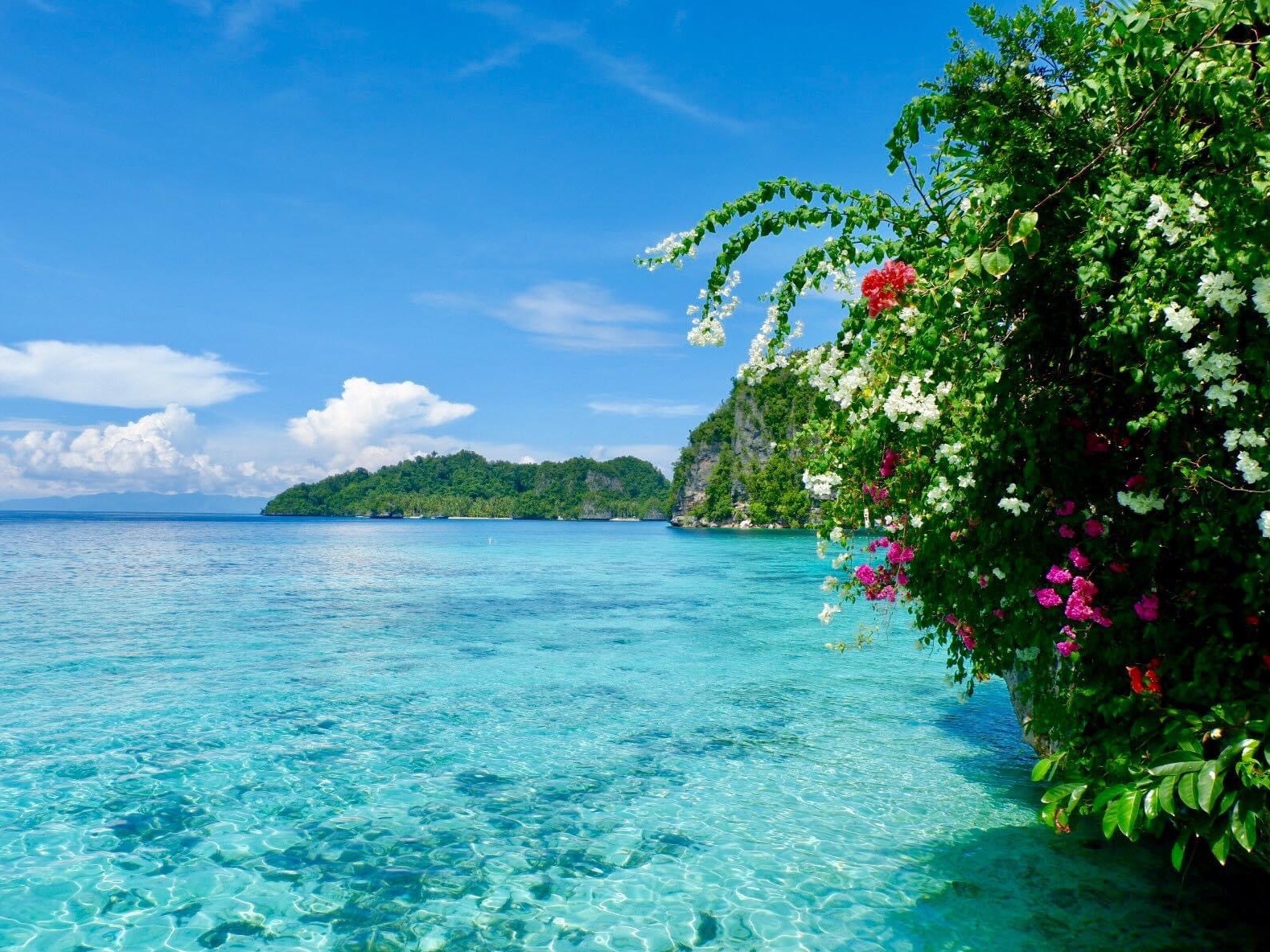 Things to Do in Dinagat Islands in 2025 Top Attractions, Local Food