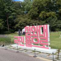 ‘청와대, 국민 품으로’ 청와대 개방 관람투어 