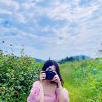 Cao Bằng non nước ta❤️