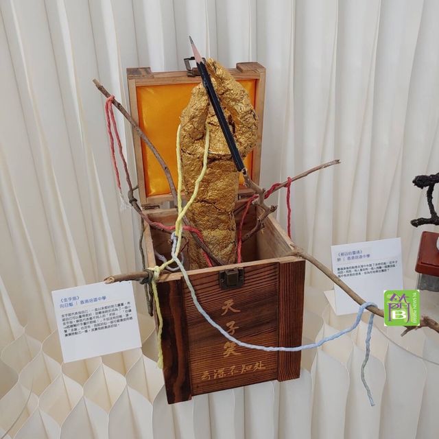 香港學生藝術治療展