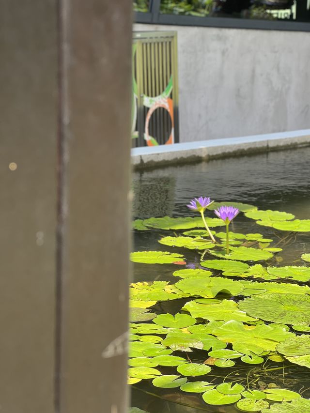 九龍灣|零碳天地| 綠色旅遊、綠色生活 
