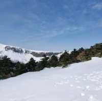 제주도 설산의 매력, 한라산은 겨울이 가장 예쁘다