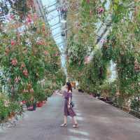 【日本 三重】日本最大規模花海 🌹🌷🌺🌸🌼