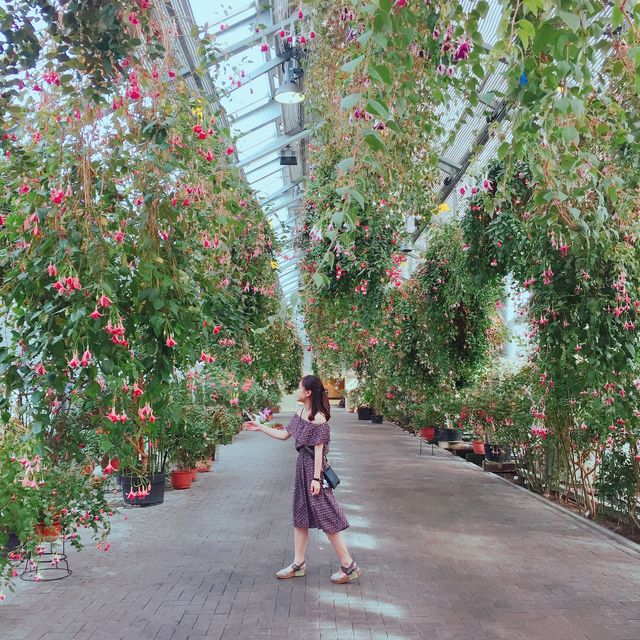 【日本 三重】日本最大規模花海 🌹🌷🌺🌸🌼