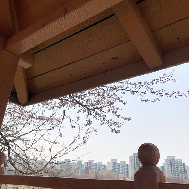 내년 봄, 벚꽃 스팟은 여기로 찜🌸<독산역, 안양천>