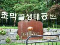 군포 꽃구경하기 좋은 '초막골생태공원'