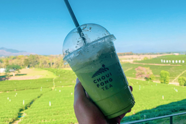 Matcha Chan MATCHA-Made in Choui Fong | Trip.com Mae Chan